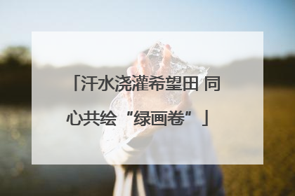 汗水浇灌希望田 同心共绘“绿画卷”